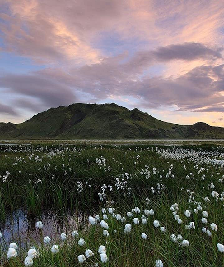 El Primer Día de Verano: una fiesta única en Islandia