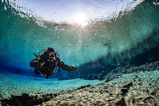 Dykning ved Silfra betyder dykning i noget af det klareste vand i verden.