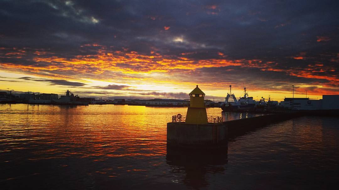 Midnight Sun Whale Watching from Reykjavik | Guide to Iceland