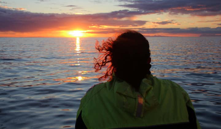 Bewonder het prachtige landschap van de baai van Faxafloi tijdens deze fantastische walvisexpeditie onder de middernachtzon.