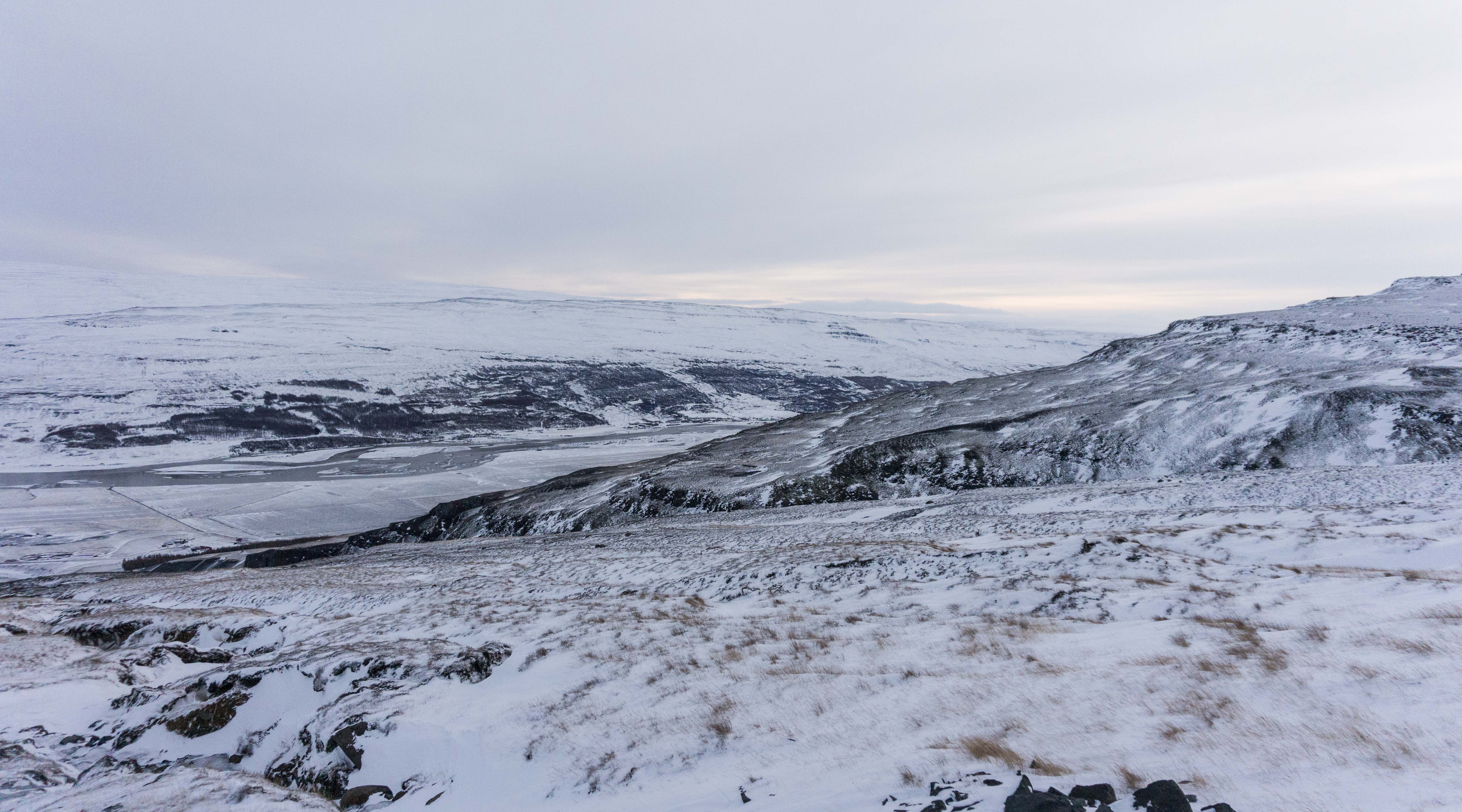 Wild Reindeer Experience in East Iceland | Day Tour | Gui...