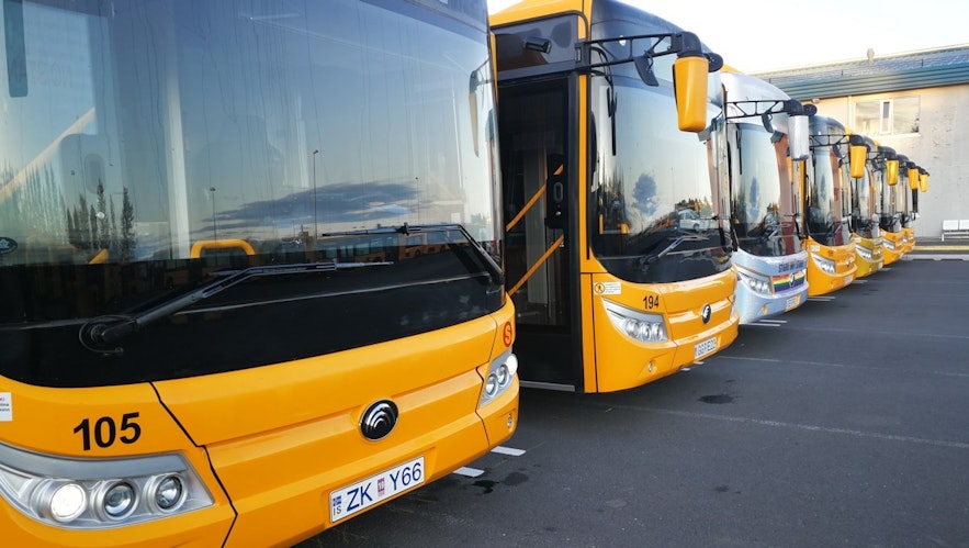 Yellow Straeto buses are lined up. 
