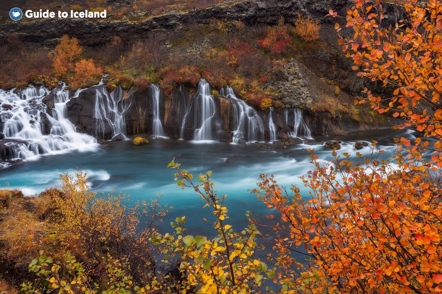 Iceland has an abundance of waterfalls to photograph, like Hraunfossar Waterfall