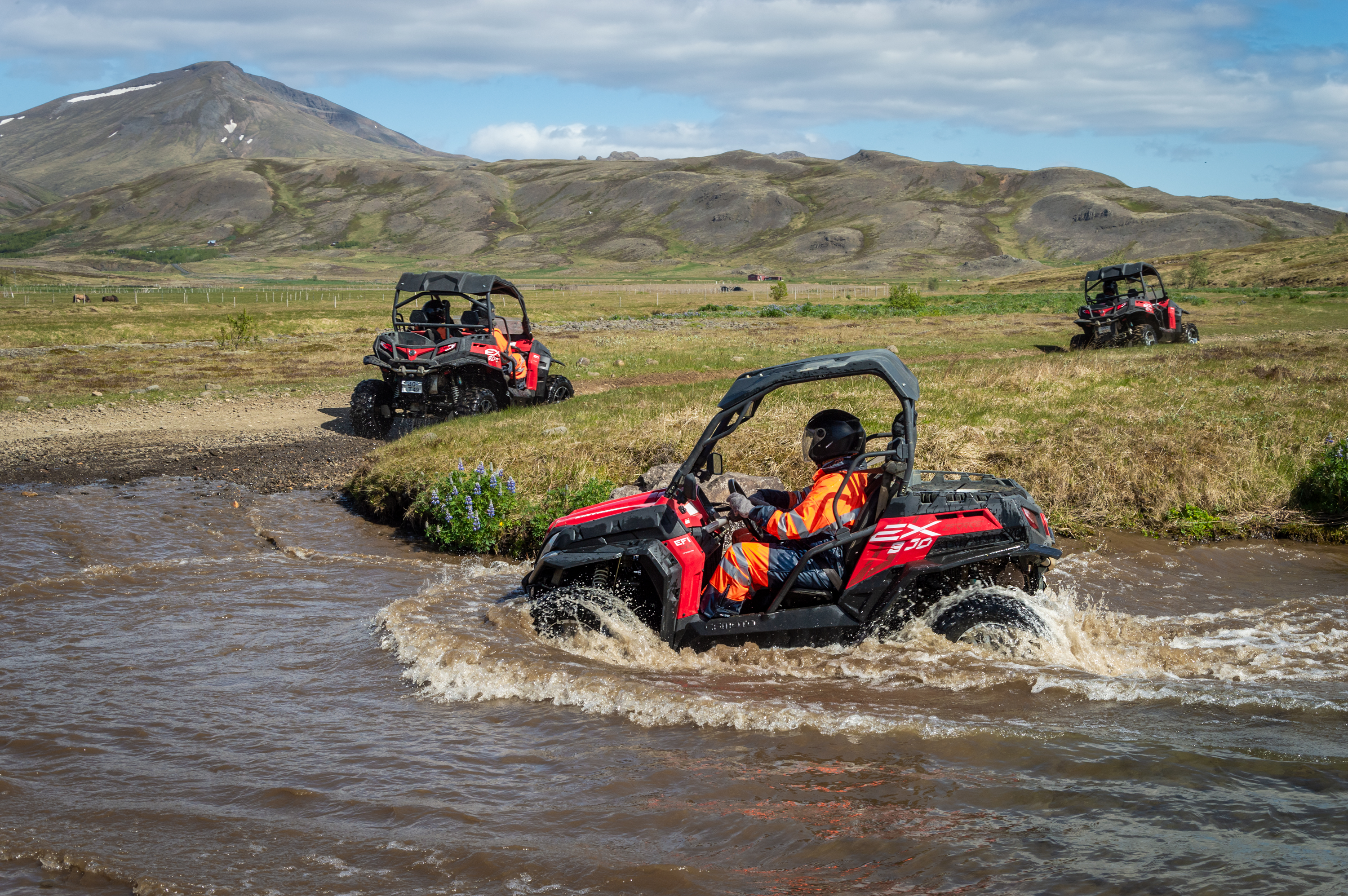 buggy ride