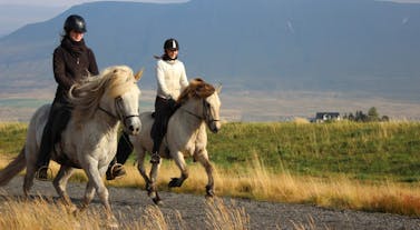 Ride through the beautiful landscapes of North Iceland on this 8-hour combination riding and rafting tour.