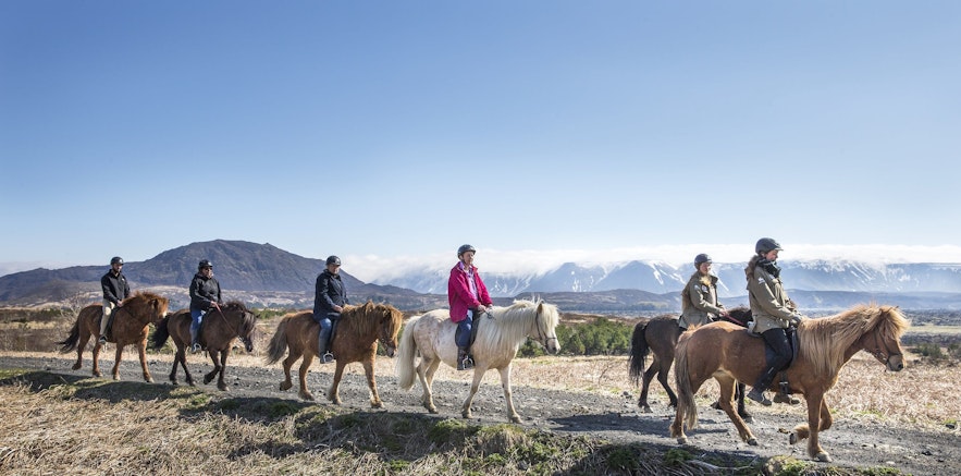 Riding an Icelandic horse is just one of the many extra activities you can add to a guided tour package to enhance your experience