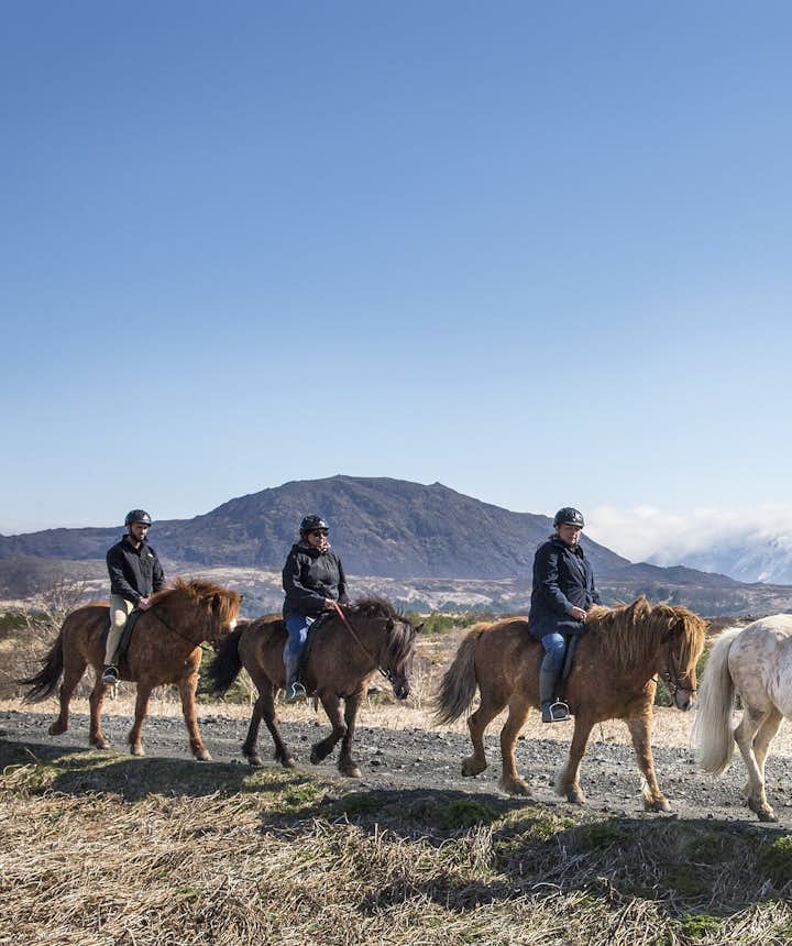 Riding an Icelandic horse is just one of the many extra activities you can add to a guided tour package to enhance your experience