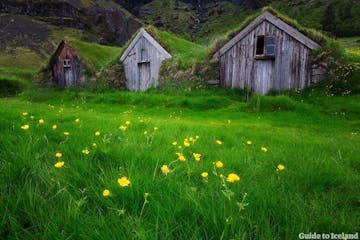 아이슬란드 잔디 주택에 대한 모든 것