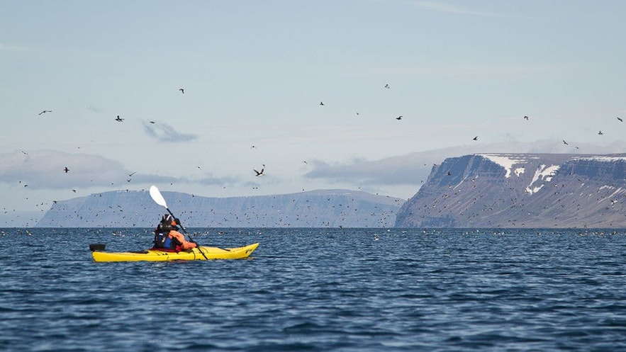 冰島西峽灣獨木舟皮划艇Kayak