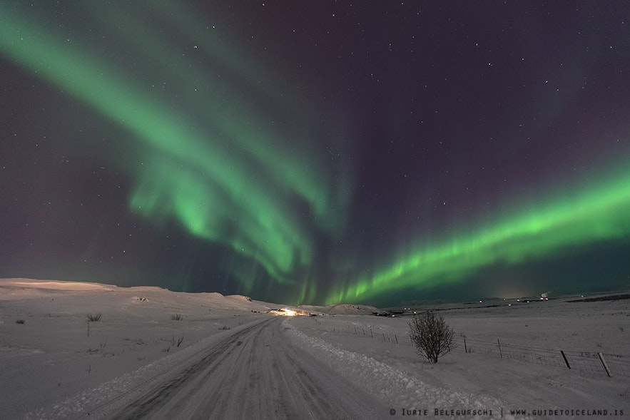 Les aurores polaires le long de votre route en Islande en hiver
