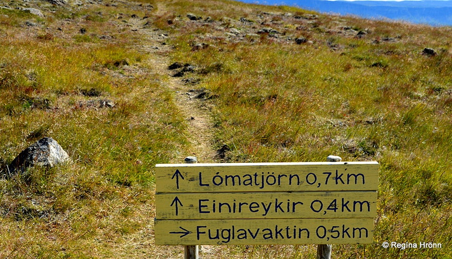 Hiking to Lómatjörn at Reykhólar