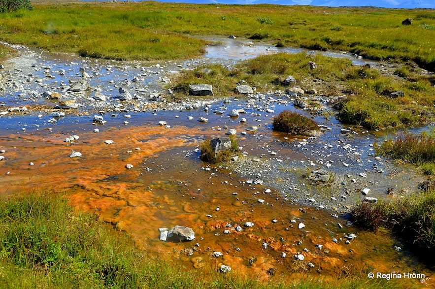 The hot spring area at Reykhólar