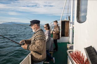Klassieke 3 uur durende zeevisexcursie op een eikenhouten boot met transfer vanuit Reykjavik