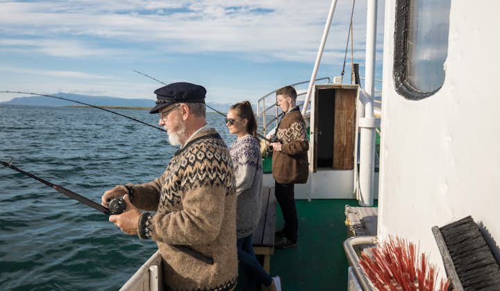 Klassisk 3-timers havfisketur på en egebåd med transport fra Reykjavik