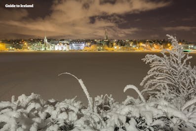 Światła Reykjaviku i pokryte śniegiem liście w zimowy wieczór.