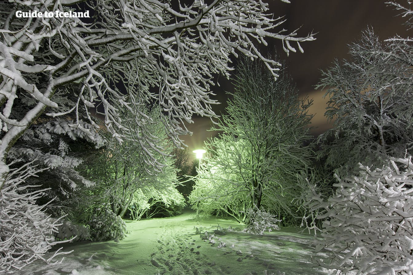 雪化粧をした夜のレイキャビクも、魔法にかかったような世界で散歩が楽しい