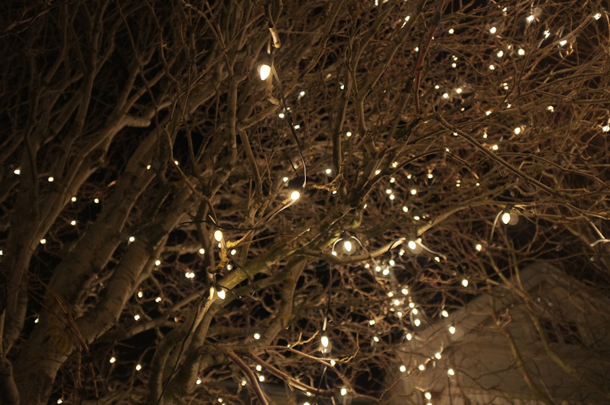 Iceland's Christmas Trees of Light | Guide to Iceland