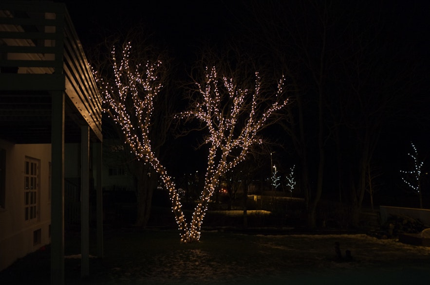Iceland's Christmas Trees of Light
