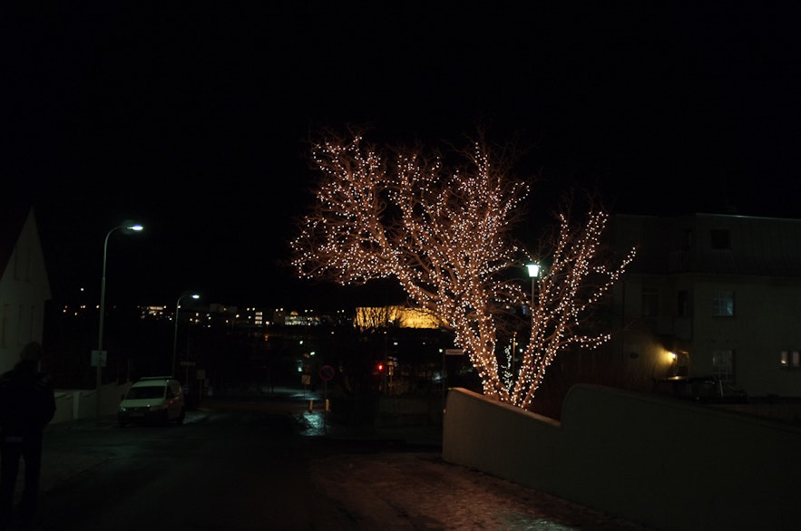 Iceland's Christmas Trees of Light