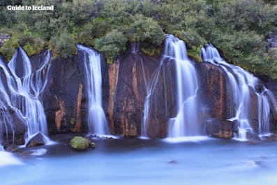 Hraunfossar es una serie de apacibles cascadas que brotan de un campo de lava.