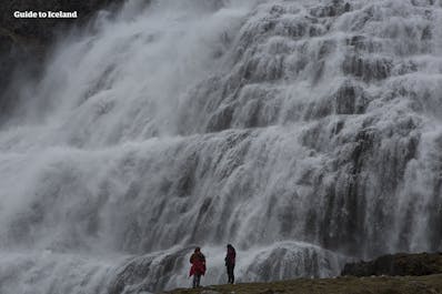 À l'approche de la cascade de Dynjandi, dans la région des fjords de l'Ouest islandais, vous êtes accueilli par le grondement sourd de cette majestueuse chute d'eau.