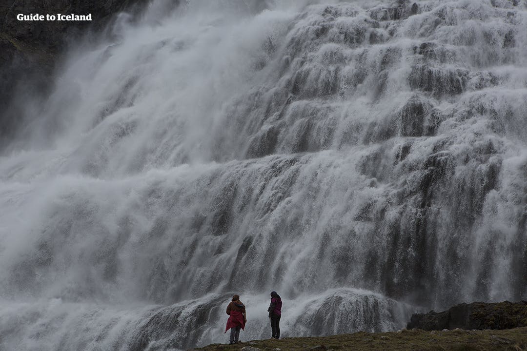 As you approach the Westfjord's Dynjandi waterfall, you'll be greeted by the thundering noises of this majestic cascade.