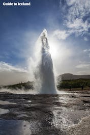 Gejseren, Strokkur, går i udbrud og viser sin mægtige kraft.