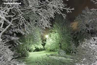A snow-covered park in Reykjavik during winter.