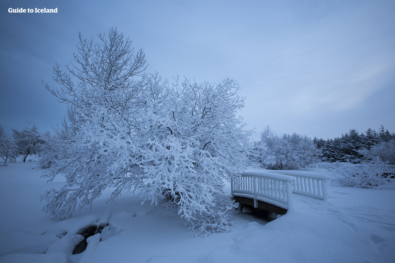La hermosa ciudad de Reikiavik en invierno