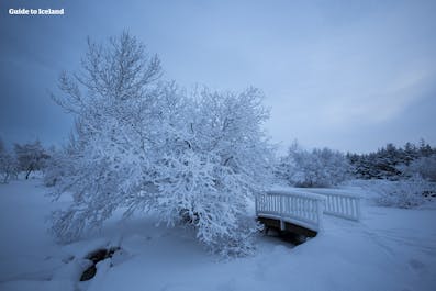 La hermosa ciudad de Reikiavik en invierno