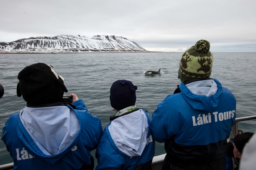 The view from the boat of LÃ¡ki Tours