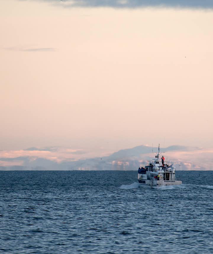Whale watching at sea in GrundarfjÃ¶rÃ°ur fjord