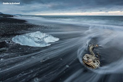 ヨークルスアゥルロゥン氷河湖からそう遠くない場所にあるのはダイヤモンドビーチ。ここでは氷のかけらに飾られた真っ黒な砂浜が見渡せる