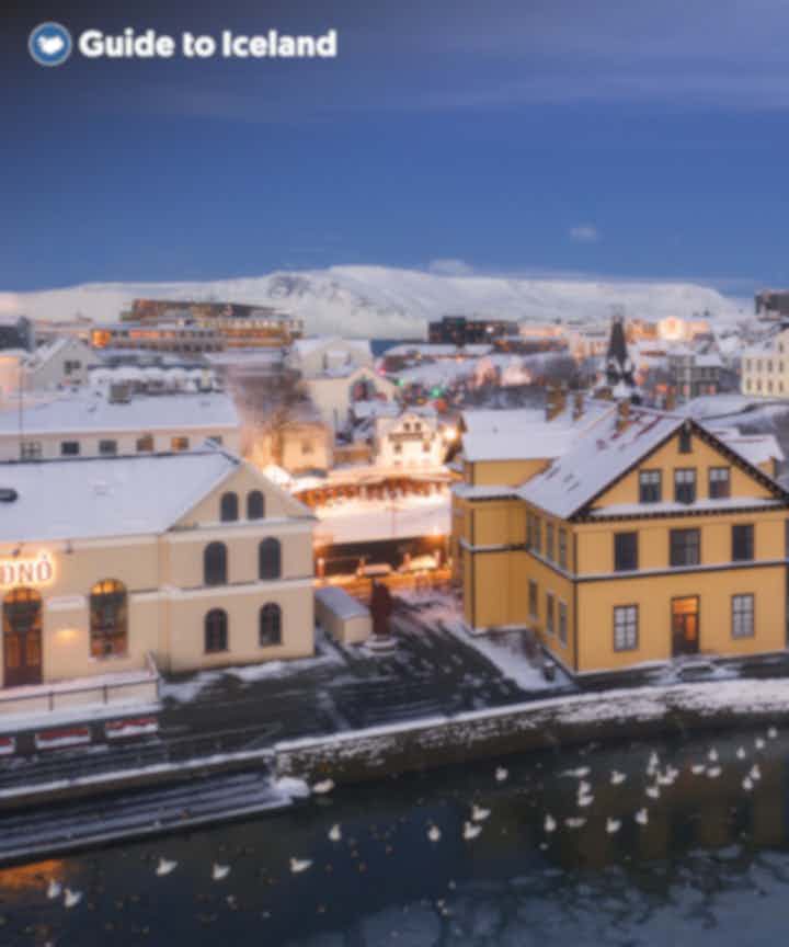 Excursies in en rondom Reykjavík