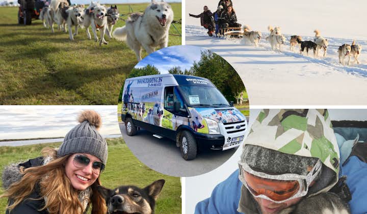 Unforgettable 3 Hour Dog Sled Tour with Transfer Service from Reykjavik