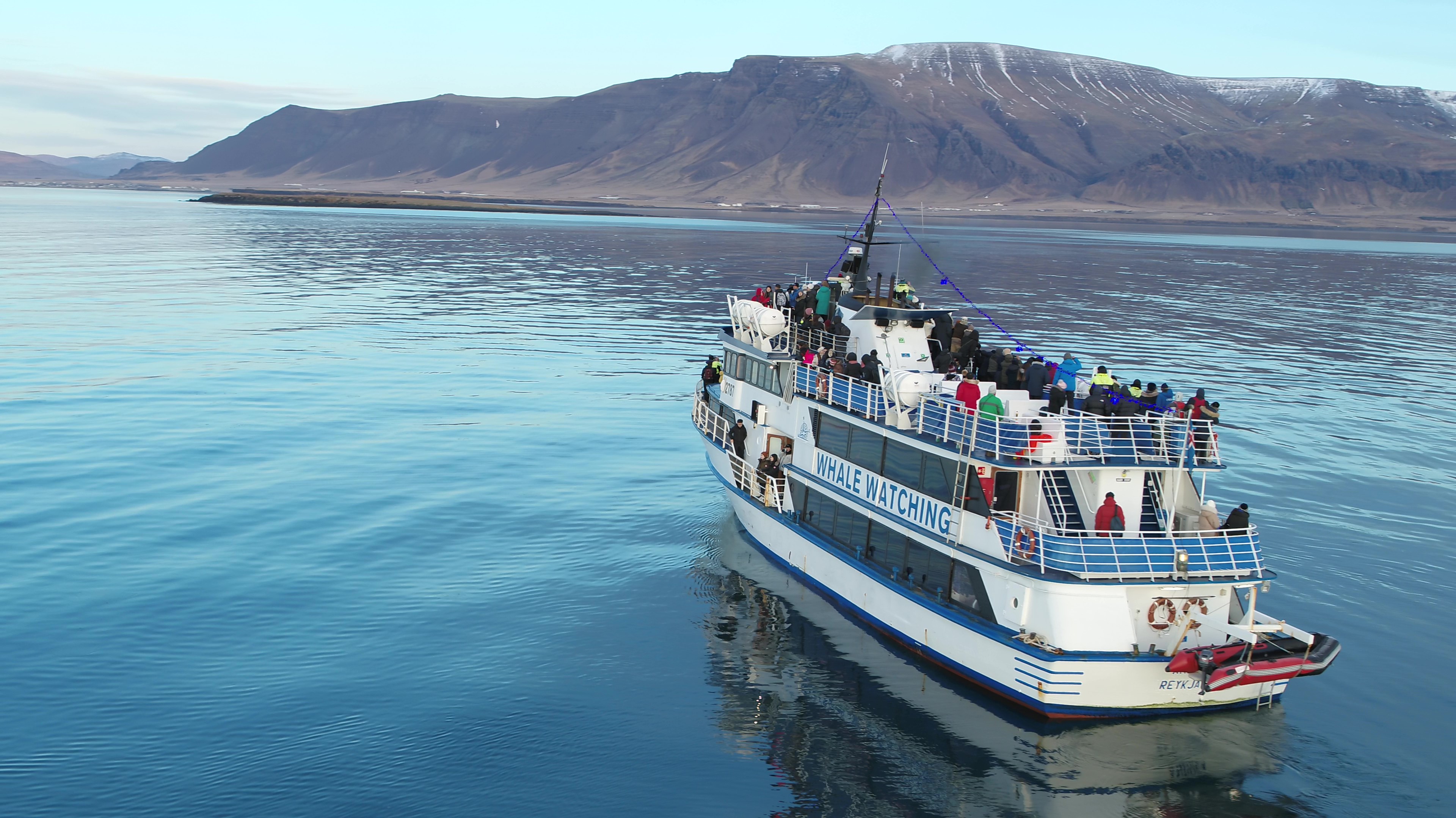 Unforgettable 3 Hour Whale Watching Boat Tour Departing f...