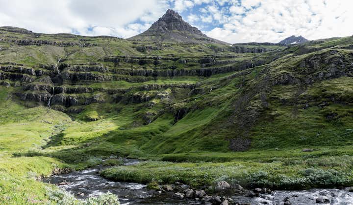 The lush green landscape of the Mjoifjordur fjord during summer in Iceland.