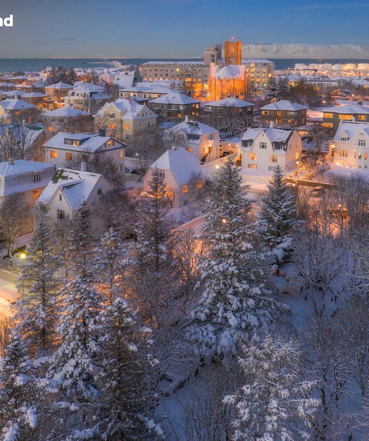 冰島首都雷克雅維克的冬季景色