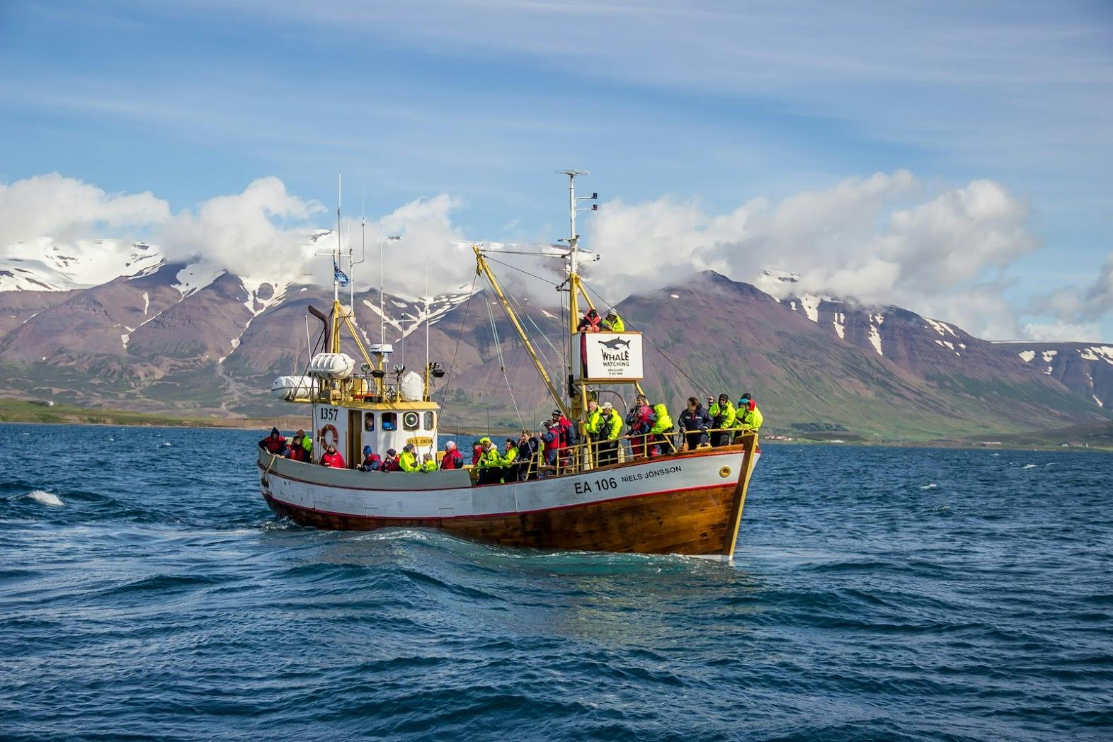 아이슬란드 북부는 고래관측을 즐기기에 좋은 장소로, 최고로 높은 성공률을 자랑하는 곳입니다.