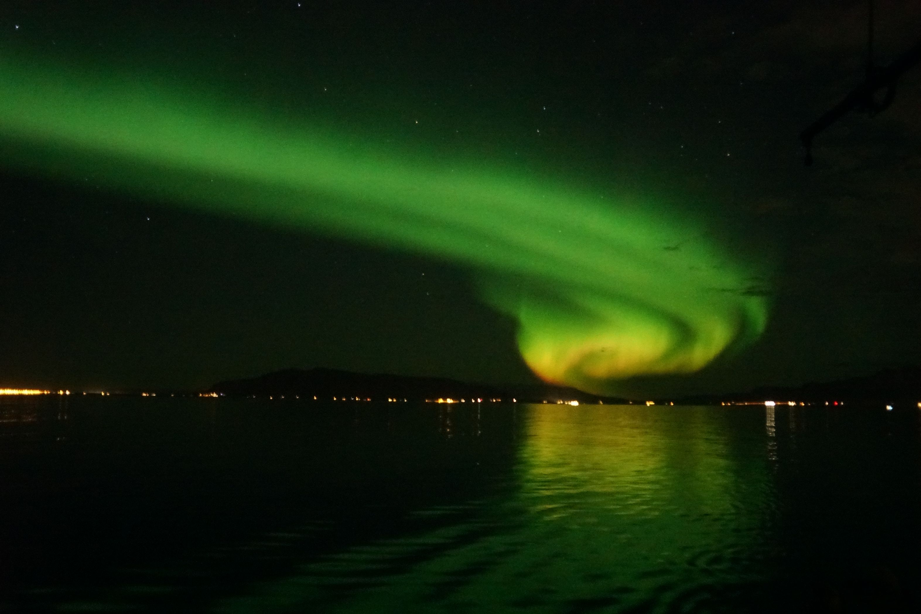 Whale Watching & Northern lights | 2-Tour Deal | Guide to...