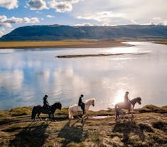 Familievenlig 1-times ridetur i det flotte landskab