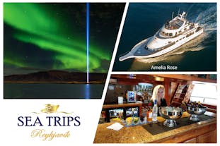 Northern Lights Cruise from Reykjavík