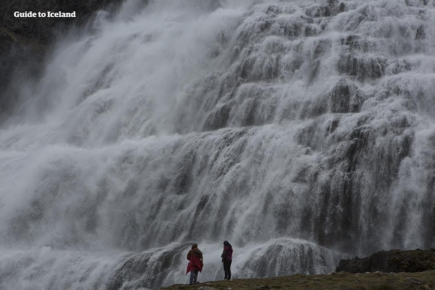 Zwei Personen am Fuße des Dynjandi-Wasserfalls