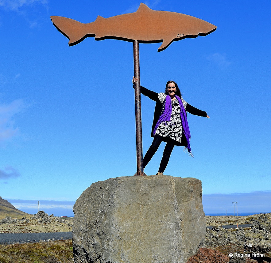 Regína by the shark sign showing the way to theShark museum on the north side of Snæfellsnes peninsula at Bjarnarhöfn