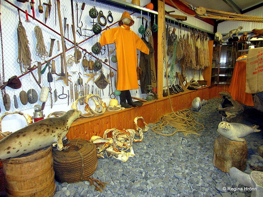 Inside the Shark Museum Snæfellsnes