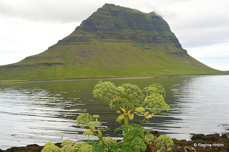 Kirkjufell mountain in Grundarfjörður on Snæfellsnes peninsula, west Iceland