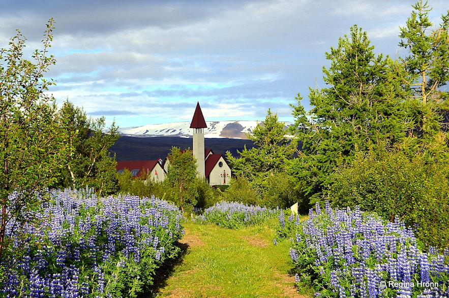 Beautiful Reykholt in the summertime