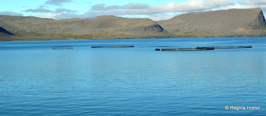 Patreksfjörður village Westfjords