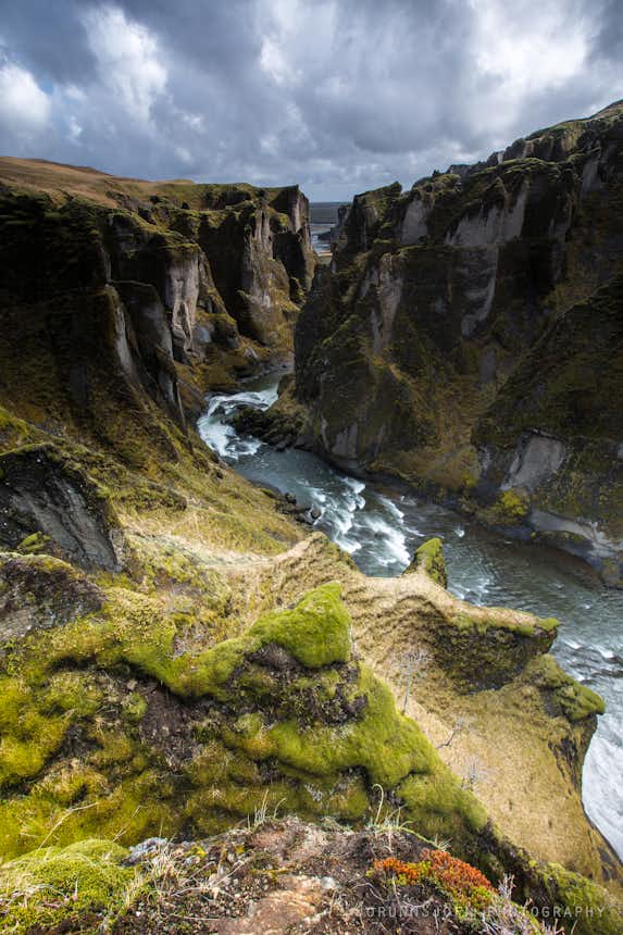 The Majestic Canyon Fjaðrárgljúfur