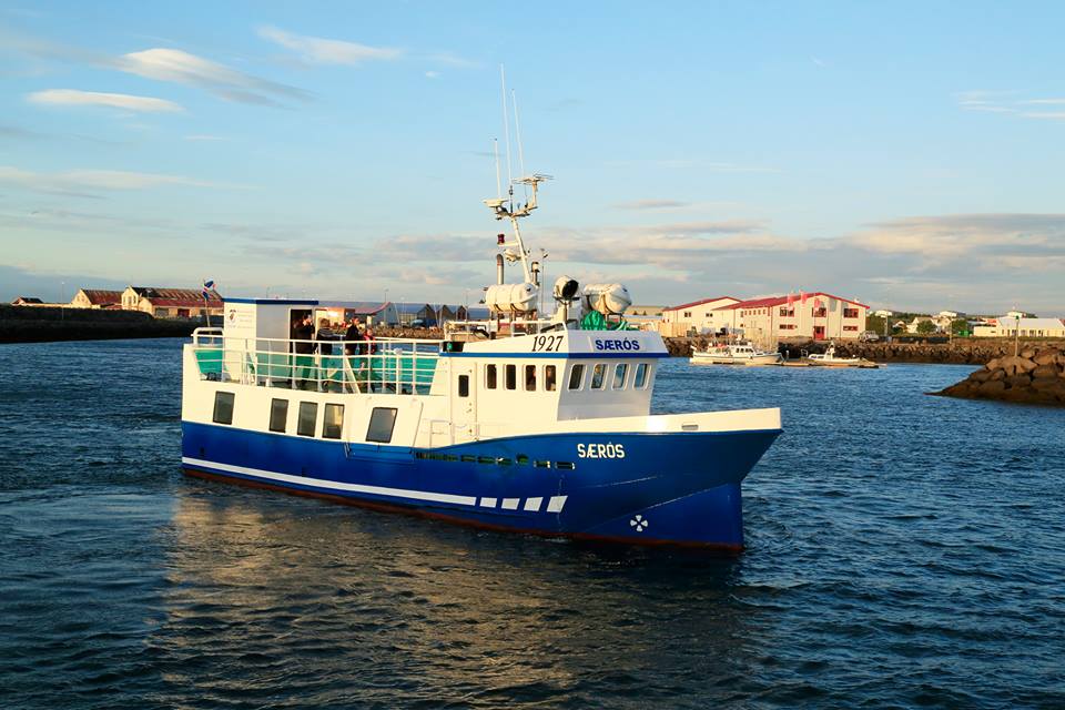 Whale Watching Boat Tour from Vogar, Reykjanes